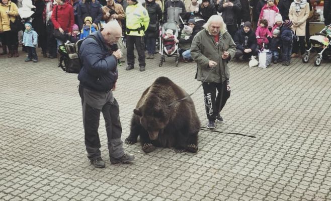 В Праге на рождественское представление привели медведя