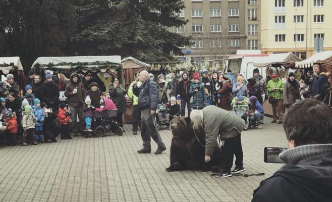 В Праге на рождественское представление привели медведя