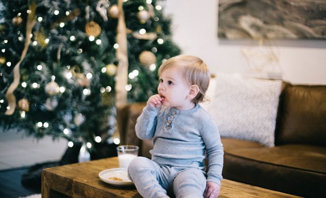 Треть чехов не покупает елку на рождество