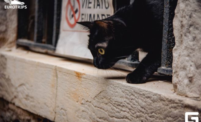 Почему стоит поехать из Праги в Венецию на карнавал?