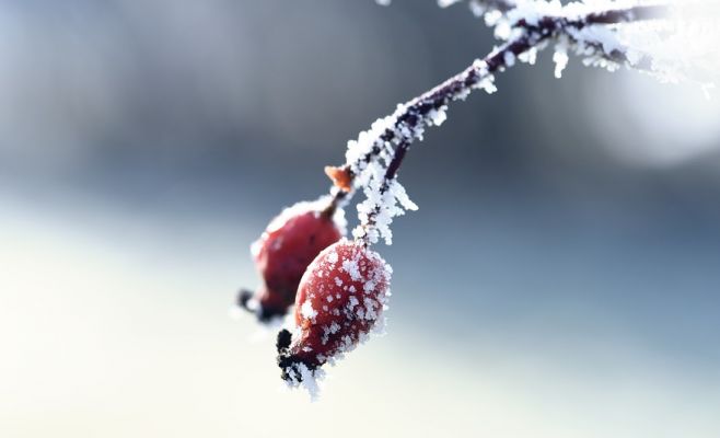 Гидрометцентр предупреждает о сильных морозах в Чехии