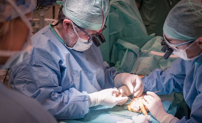 В Чехии проведена уникальная операция: женщине пересадили палец с ноги на руку