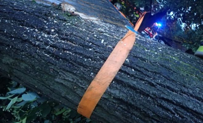 Непогода в Чехии: пожарные оперативно реагировали на повреждения и расчищали дороги