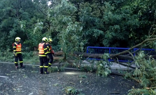 Непогода в Чехии: пожарные оперативно реагировали на повреждения и расчищали дороги