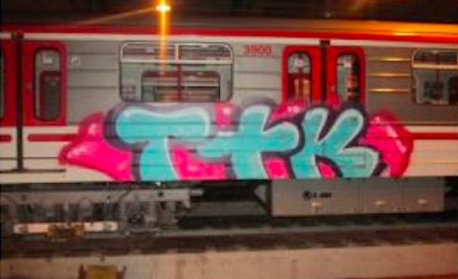 Из-за вандала, нарисовавшего граффити на вагоне поезда, было остановлено метро