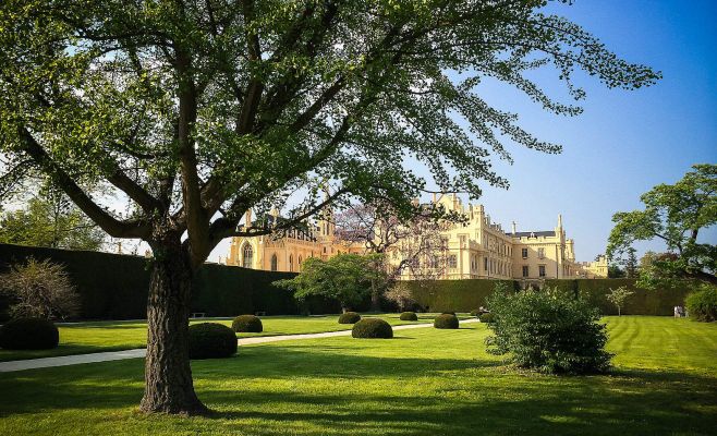 Тренд: растёт количество чехов, предпочитающих отдыхать дома, а не за границей