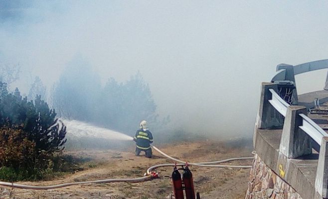 В Чехии горел лес на горе Йештед