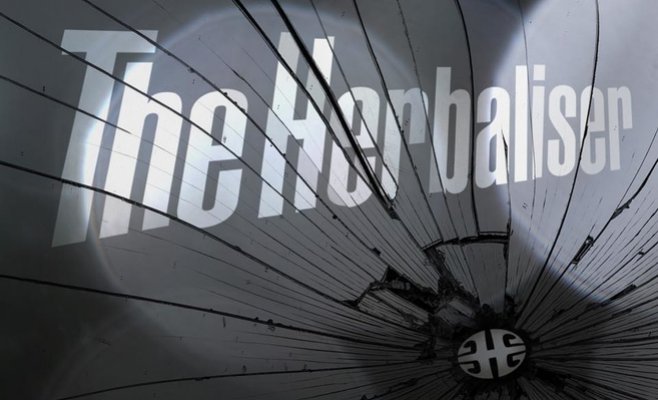 Концерт The Herbaliser