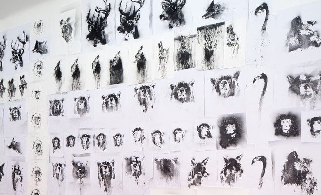 Маркета Глиновска: «Шерсть в городе»