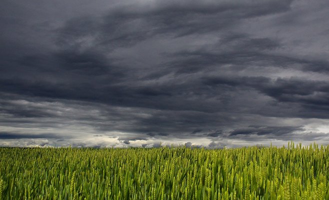Один из земельных участков в Чехии до сих пор находится в собственности Гестапо