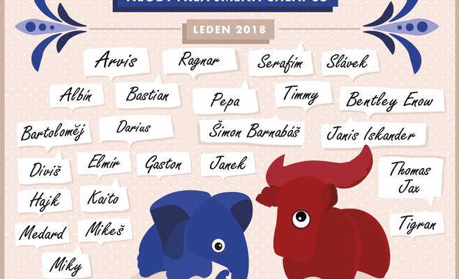 Самые популярные имена в Чехии в 2018 году