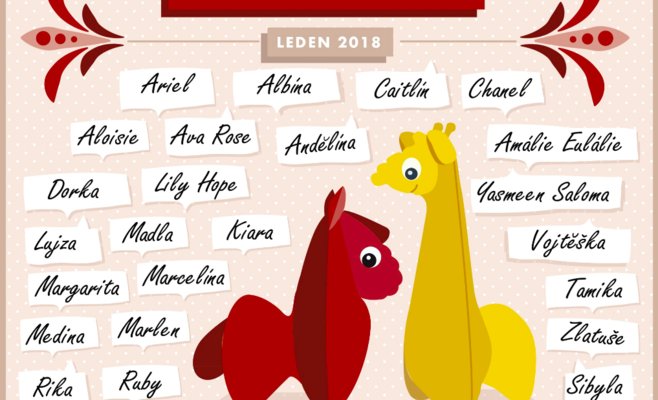 Самые популярные имена в Чехии в 2018 году