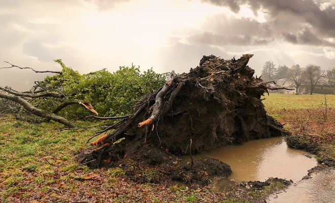 В Чехии объявлено штормовое предупреждение