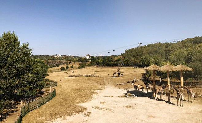 Фото: в Праге появится новая канатная дорога