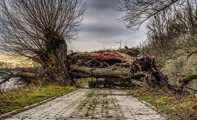 В Чехии объявлено штормовое предупреждение