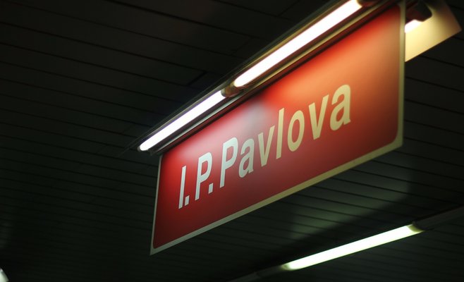 5 изменений, которые произойдут в Чехии в ноябре