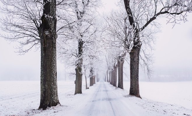 На Шумаве с утра метель! Снег ожидают по всей Чехии. Прогноз метеорологов на неделю