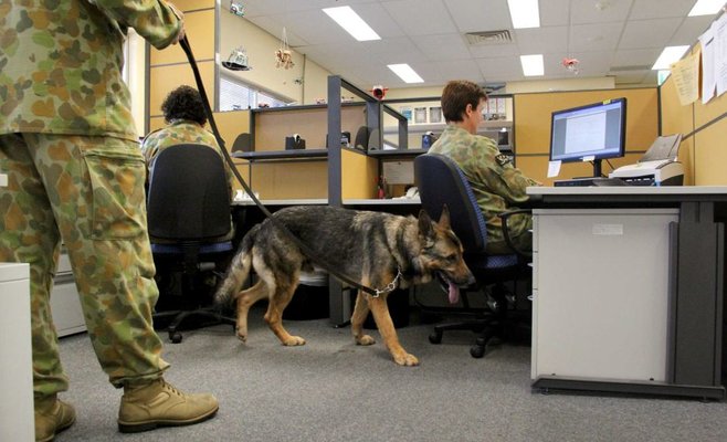 Главный корпус VSE эвакуирован из-за сообщения о бомбе