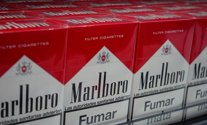 Служебная собака помогла обнаружить контрабанду сигарет в Праге