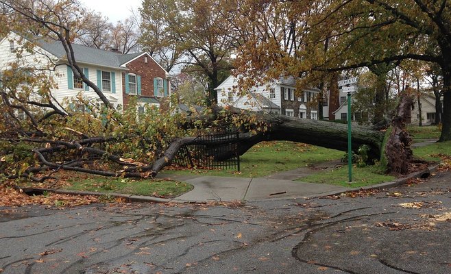 Чешские синоптики предупреждают о штормовом ветре