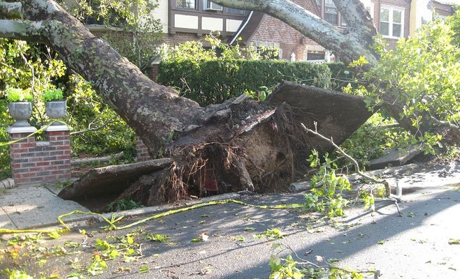 Моравско-силезские пожарныеí ночью убирали поваленные ветром деревья