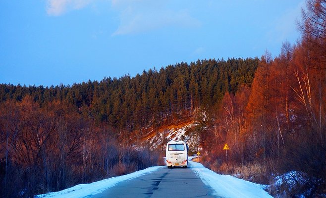В западной Чехии водитель автобуса не справился с управлением и врезался в дерево