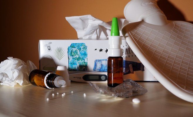 В Чехии погибли от гриппа уже 15 человек