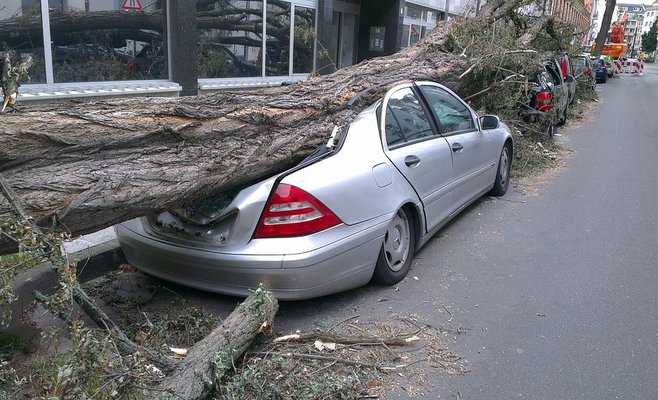 В Чехии ликвидируют последствия сильного ветра