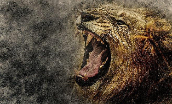 В Чехии лев убил своего хозяина