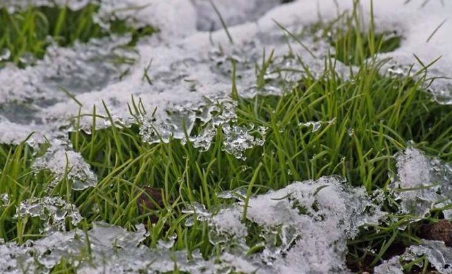 В Чехии прошедшая зима оказалась одной из самых теплых