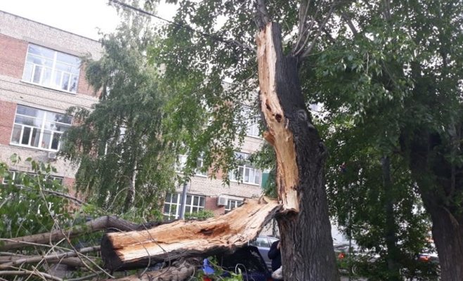 В Чехии еще не везде отменили режим бедствия