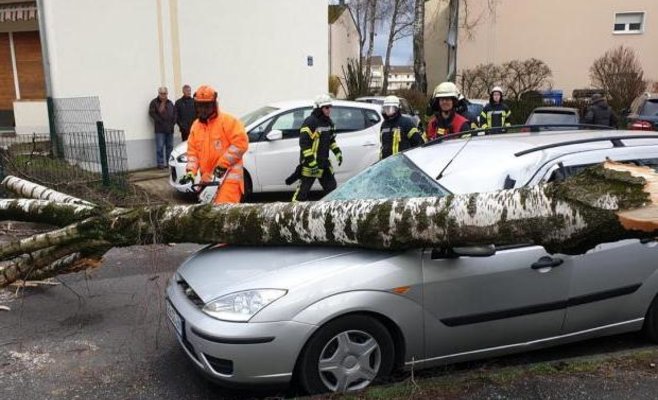 В Чехии посчитан ущерб, нанесенный ураганом «Эберхард»