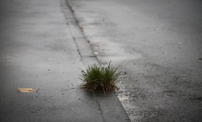 Дороги в Чехии хуже, чем в Таджикистане и Гамбии