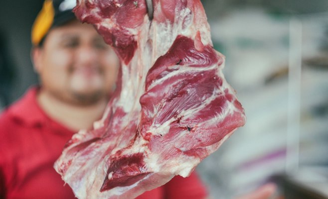 Снова сальмонелла: неприятный сюрприз в польском мясе