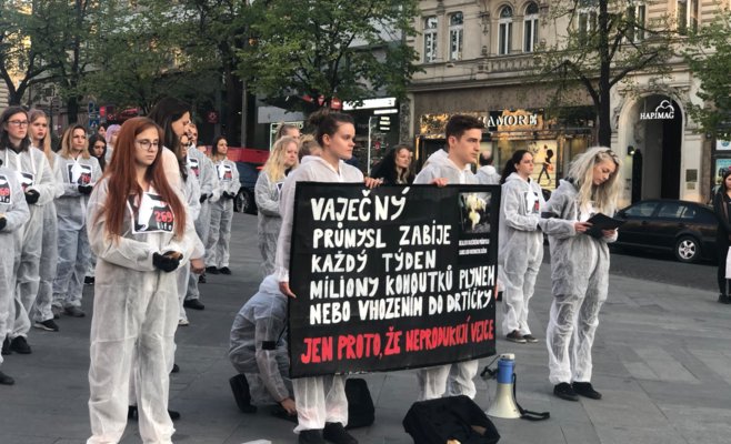 Пражская общественность выступила в защиту птиц