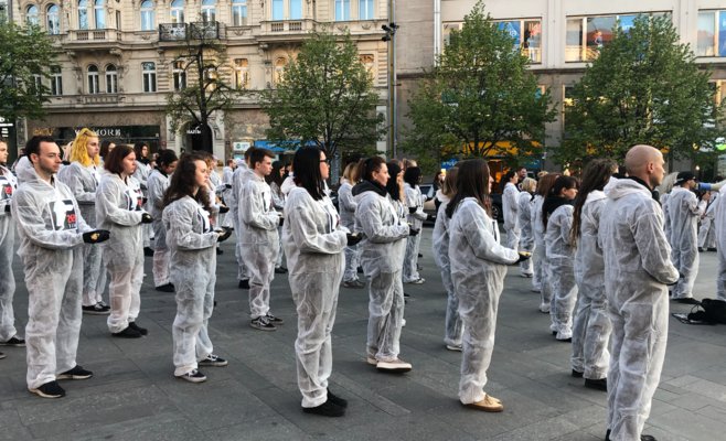 Пражская общественность выступила в защиту птиц