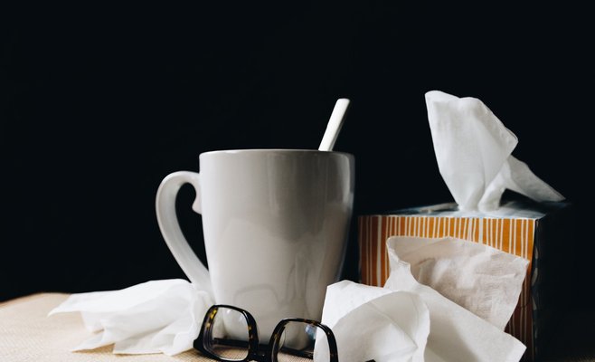 В Чехии от гриппа погибло 190 человек