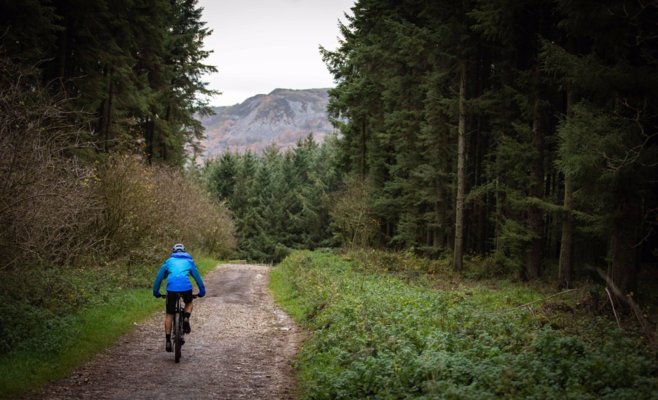 Снятие «сухого закона» с велосипедистов. Решение за нижней палатой Парламента