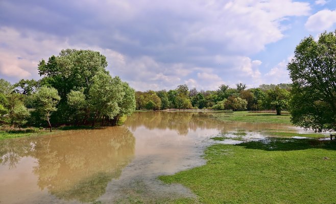 В Чехии сохраняется угроза наводнений. В Усти-над-Лабем затоплены дома
