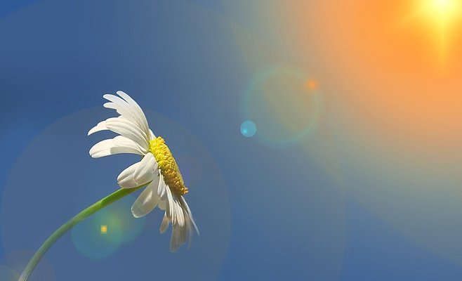 Прогноз погоды на конец мая и июнь