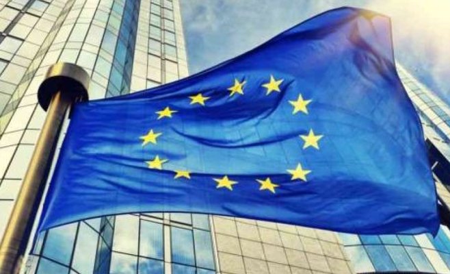 На выборах в Европарламент в Чехии победила партия ANO