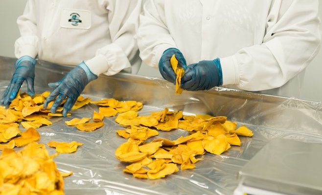 Самые плохие работники – это студенты