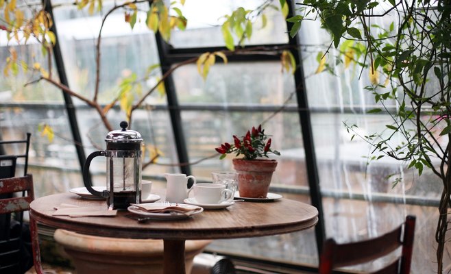 За девять лет в Чехии удвоилось количество ресторанов