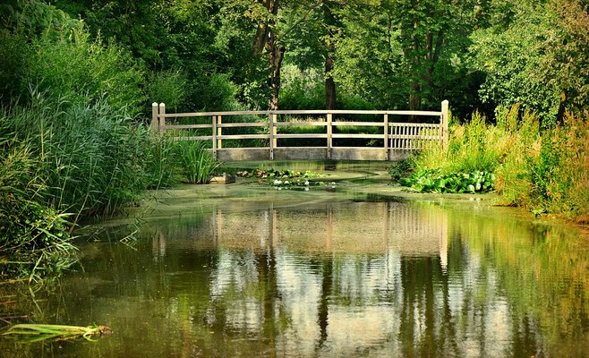 В Праге растет число водоемов