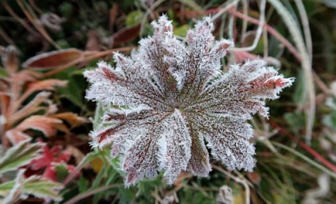 Вчера утром в Чехии были зафиксированы рекордно низкие температуры