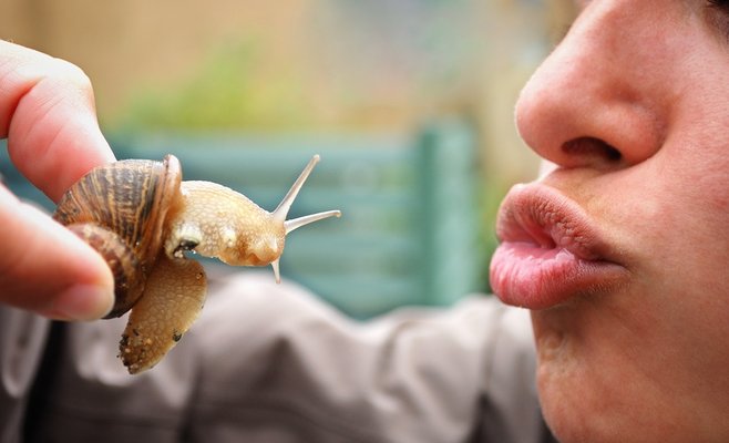 Выходные насекомоядных в Пражском зоопарке