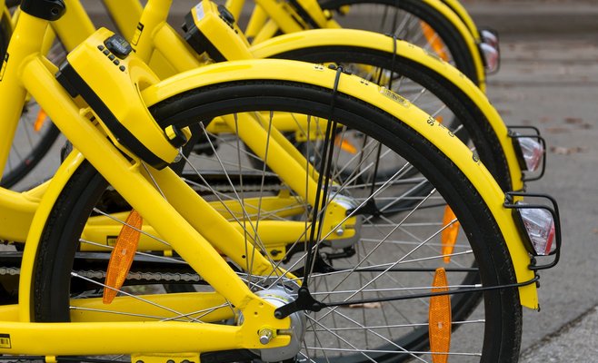 Введение запрета на пивные велосипеды откладывается на неопределенное время