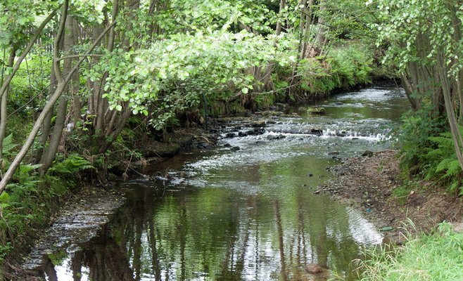 Запрет на отбор поверхностных вод в личных целях действует до середины осени