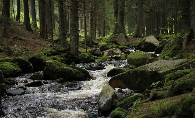 Национальные парки Чехии страдают от туристов