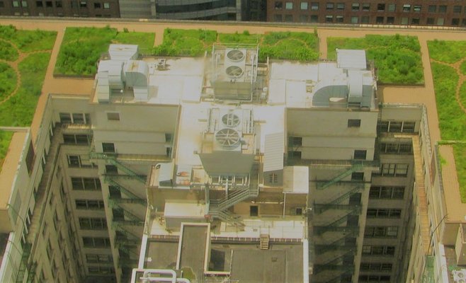 Создание зеленых оазисов на улицах города и крышах зданий – не привилегия, а необходимость